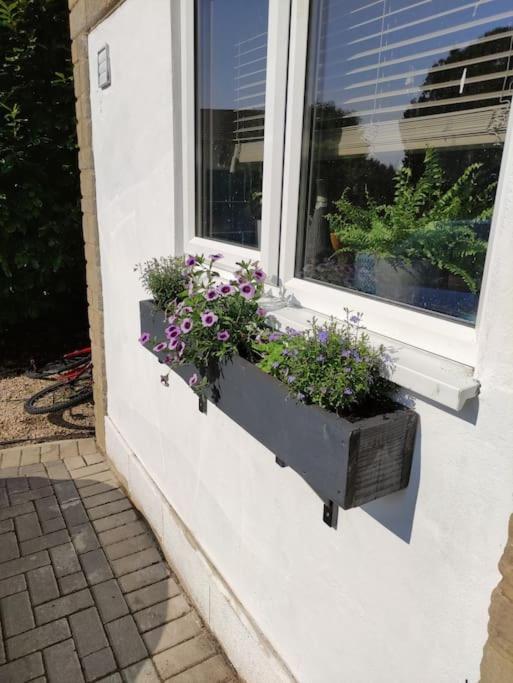 The Old Bar In Wiltshire - 1 Bedroom Guesthouse Chippenham  Dış mekan fotoğraf